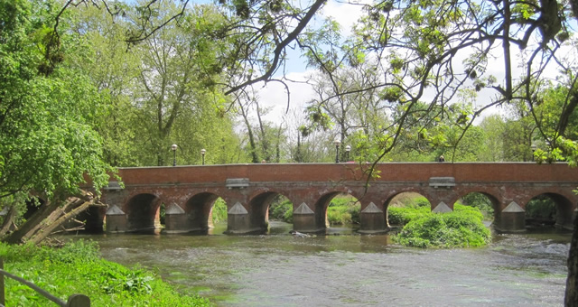 Leatherhead Scene